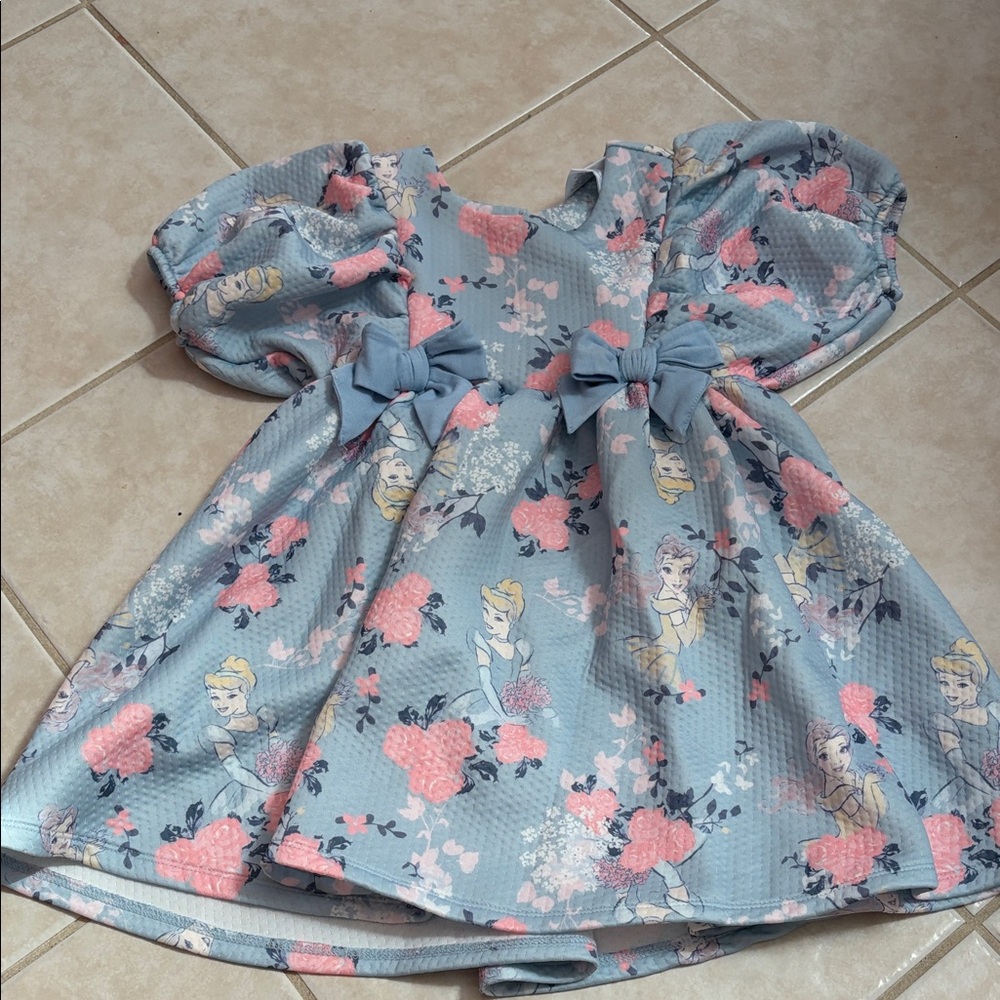 Disney Blue and Pink Princess Dress
